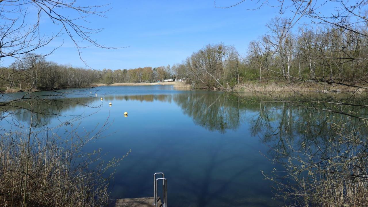 Feriendorf Am Flaemingbad コスヴィッヒ エクステリア 写真